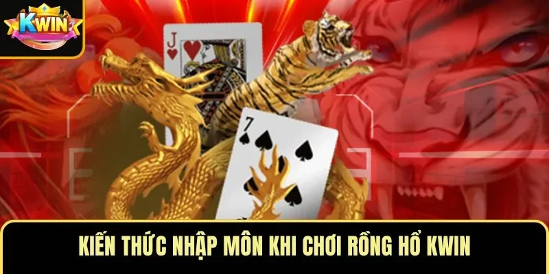 Kiến thức nhập môn khi chơi Rồng Hổ KWIN
